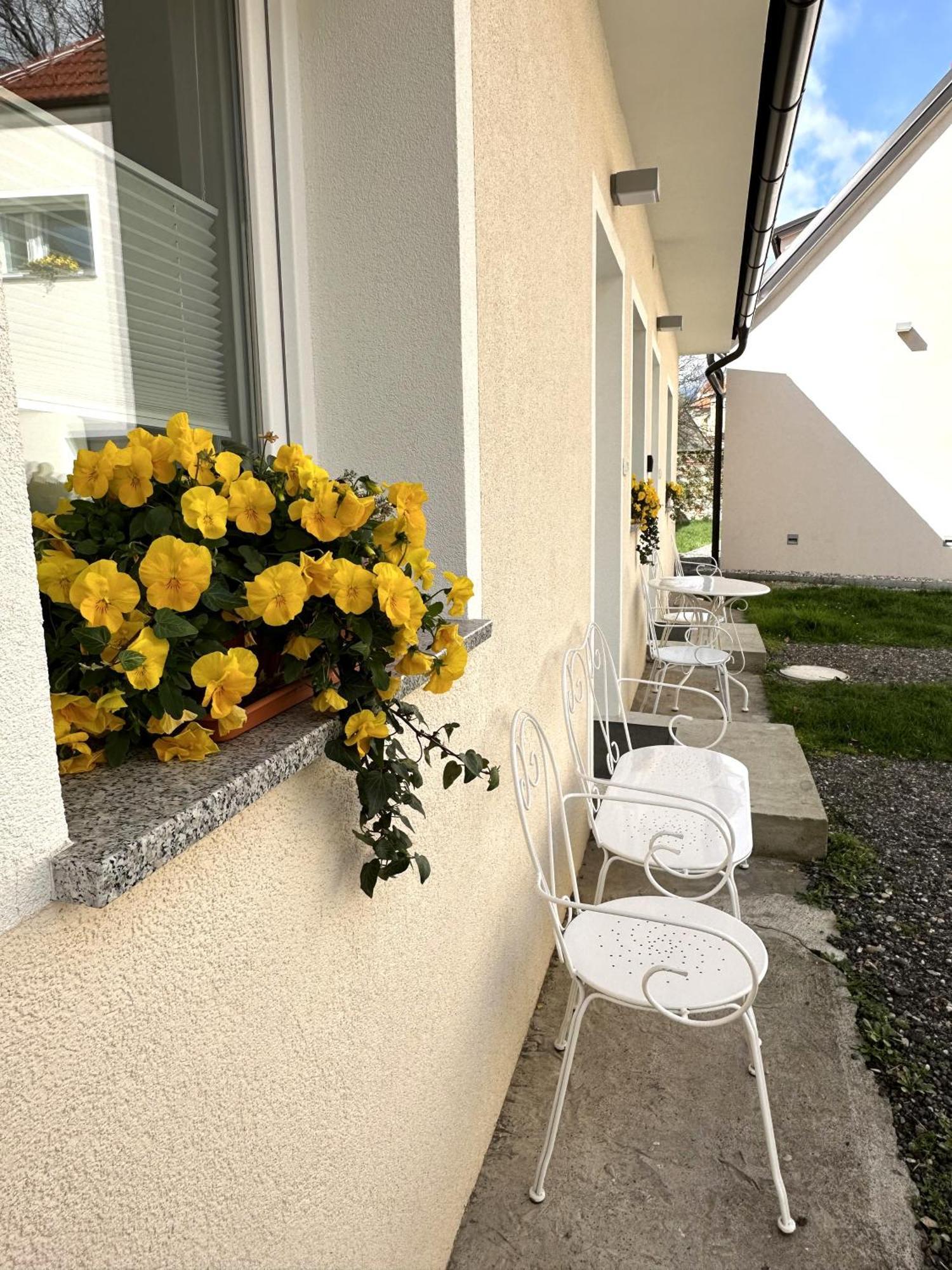 Om Yoga Center Apartment Slovenska Bistrica Exterior photo